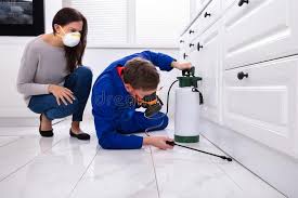 Best Bed Bug Extermination  in Hlsboro, IL