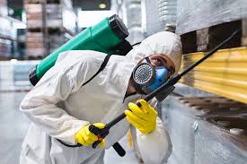 Best Pest Prevention Services  in Hlsboro, IL